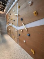 Wooden climbing holds – set of 12. - Image 4